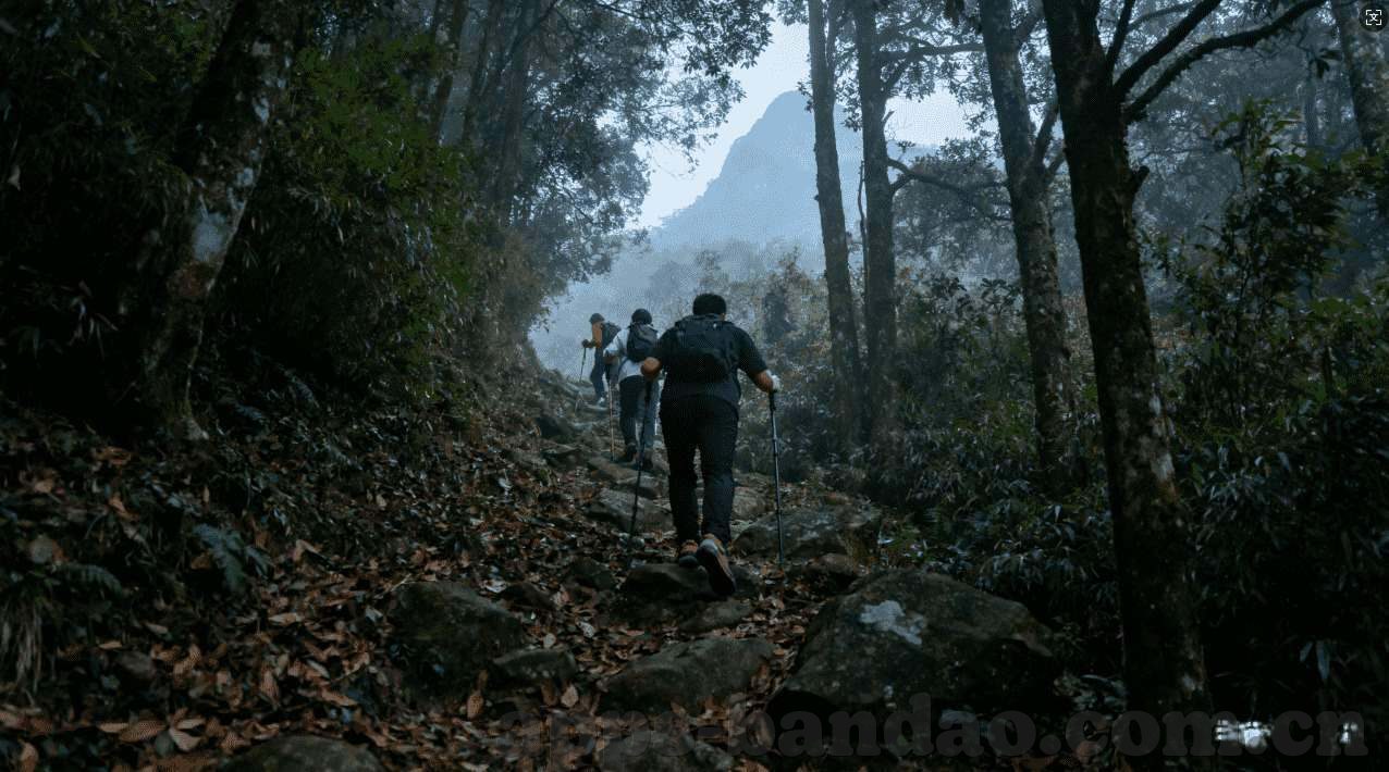 天天彩票-> 天天彩票，理性看待，切勿沉迷